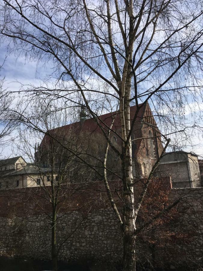 apartament PAULOVE Krakow Bagian luar foto